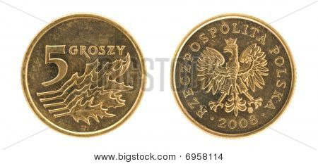 5 Grosz - ceny w Polsce