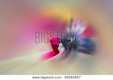 Abstract Drawing About Bullfight