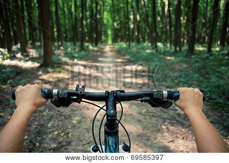 Mountain biking down hill descending fast on bicycle. View from bikers eyes.