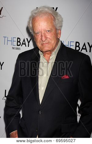 LOS ANGELES - AUG 4:  Nicolas Coster at the 