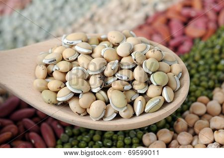 Lablab Bean