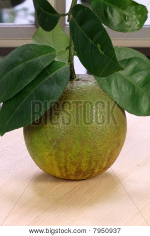 ส้มหวานอินทรีย์