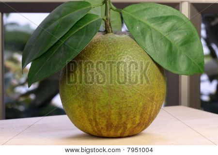 ส้มหวานอินทรีย์