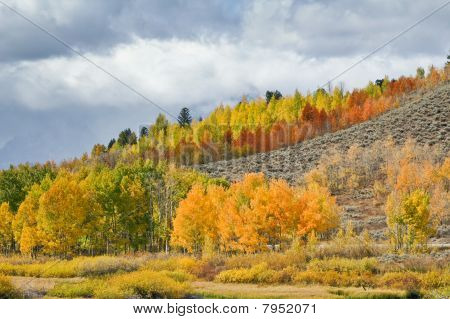 เนินเขาที่มีสีสัน