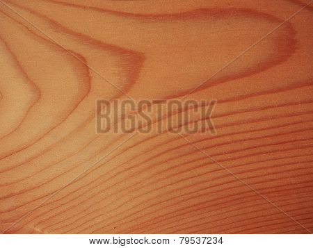 Larch Wood Background