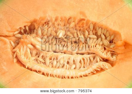 Canteloupe zaden 