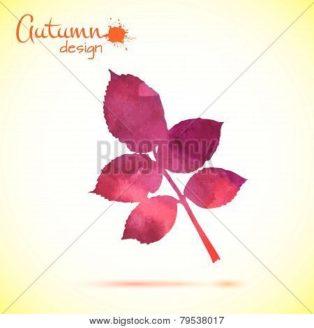 Watercolor leaf