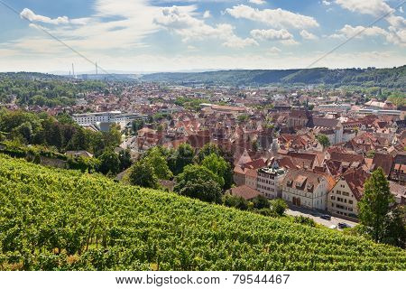Beautiful geman city and wine fields