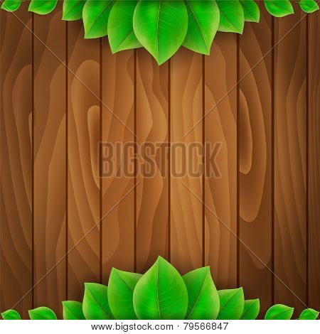 Green Leaves On Wooden Background