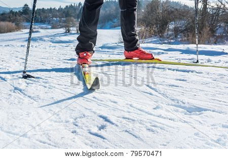 Cross Country Skiing