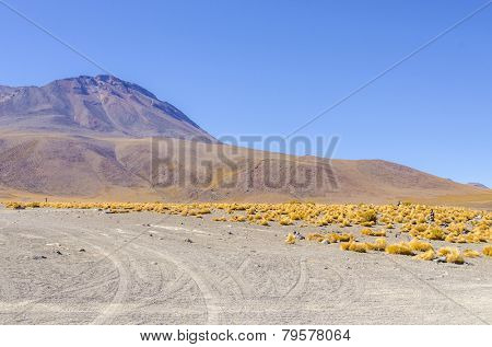 Bolivia, Antiplano - Canapa Lake shore