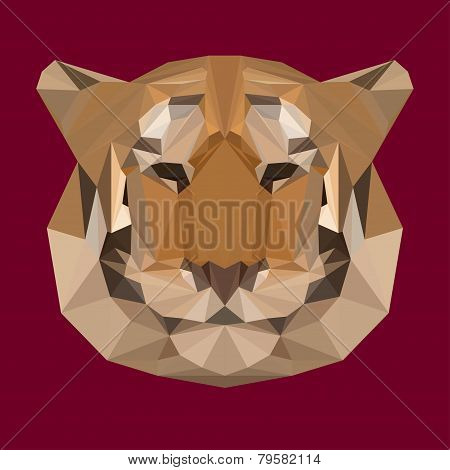 Polygonal Geometric Triangle Abstract Tiger