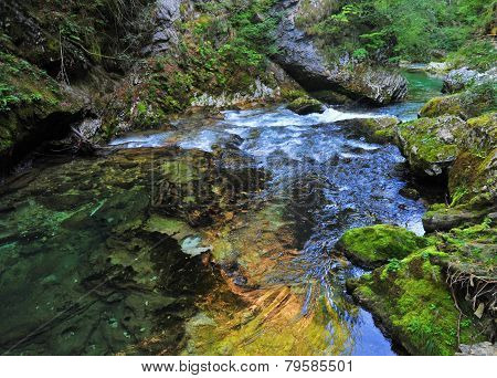 Bled gorge