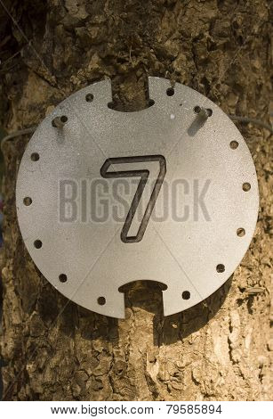 number 7