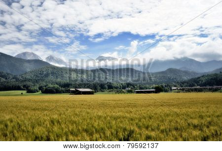 Gorenjska landscape, Slovenia