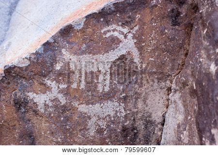 Sloan Canyon Petroglyphs