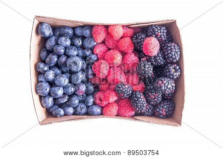 Punnet Of Ripe Assorted Fresh Autumn Berries