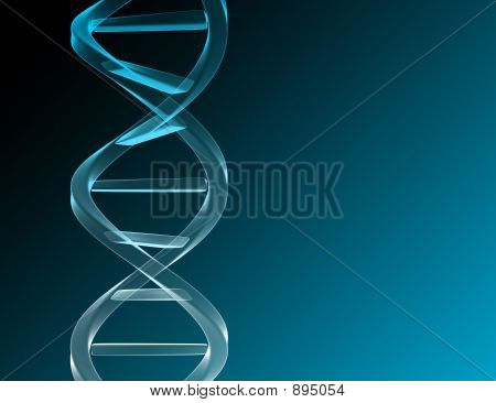 투명 한 Dna
