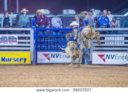 Clark County Fair And Rodeo