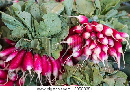 Bunches of Radishes
