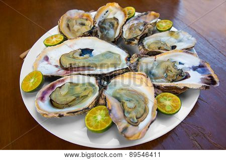 Opened Fresh Oysters In A White Plate With Lime On A Wooden Table