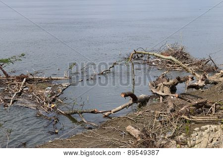 Beautiful danube