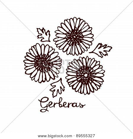 Handsketched bouquet of gerberas