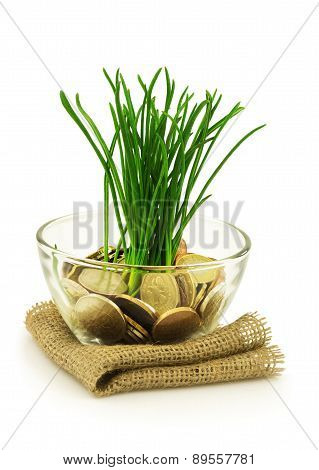 Business, Ecology Concept