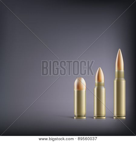 Rifle bullets.