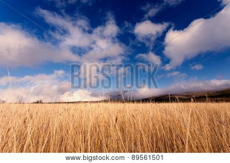Low Angle View On The Mountain At Idyllic Sunny Day