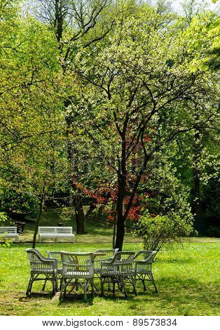 Lawn Furniture In Garden