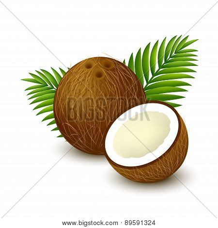 Coconut