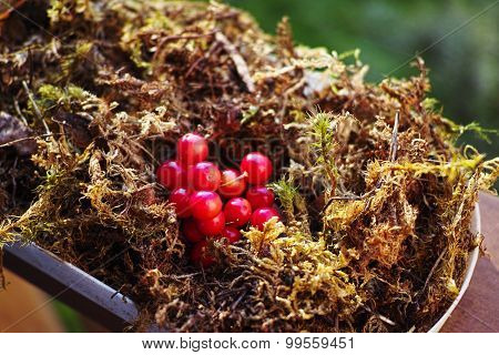 Wedding decor forest berries