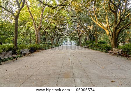 Forsyth Park In Early Morning Light