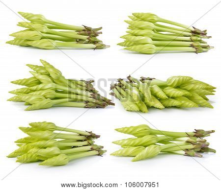 Set Of Moonflower On White Background