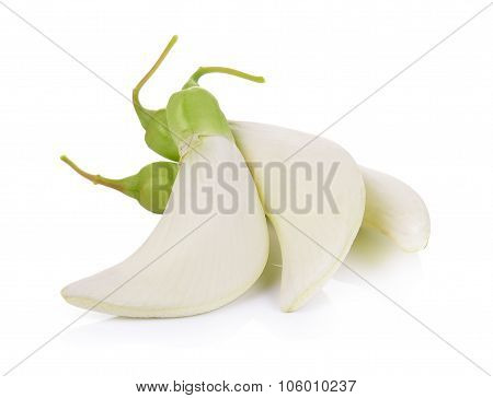 White Agasta ,thai Vegetable On White Background