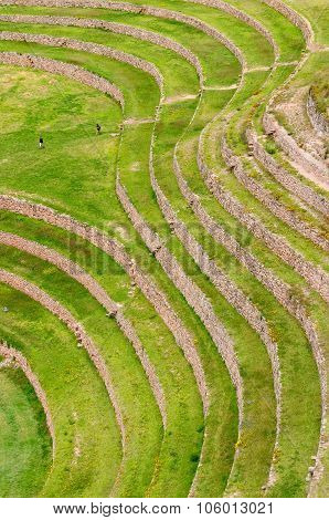 Peru, Inca Terraces Of Moray