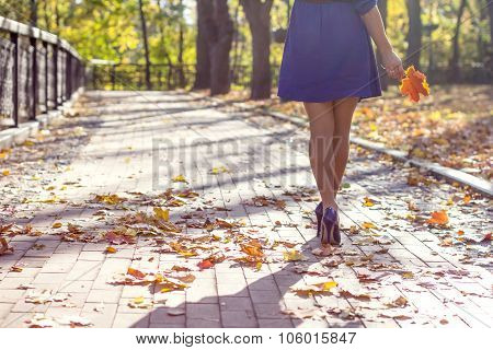 woman legs in the park