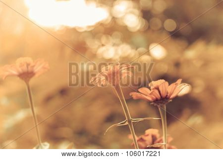 Retro Flowers Background