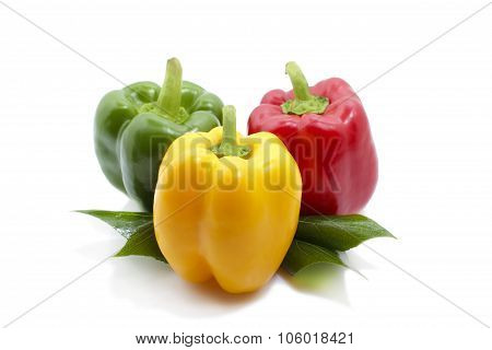 Colored Peppers