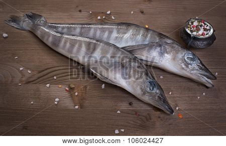 Icefish