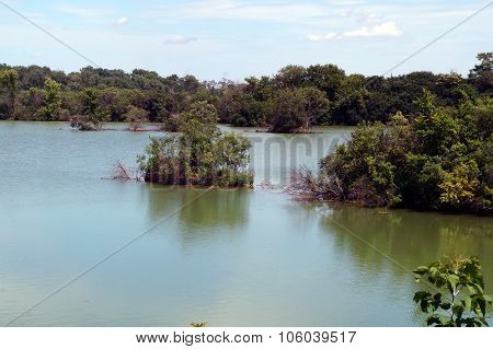 Lake Renwick