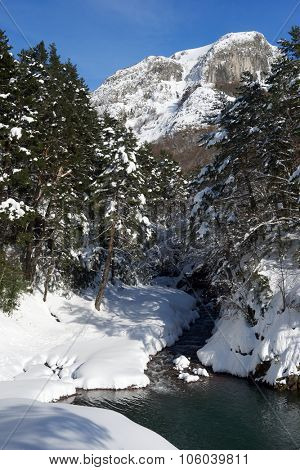 winter scene in the valley of Canal Roya, Canfranc, Huesca, Pyrenees, Spain