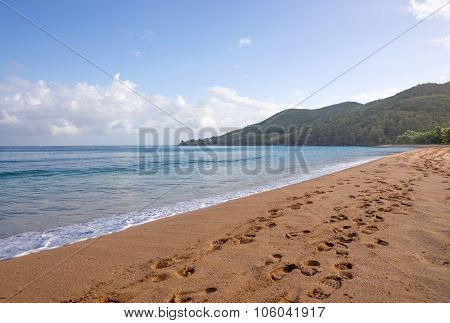 Beach of Grande Anse, Deshaies, Guadeloupe
