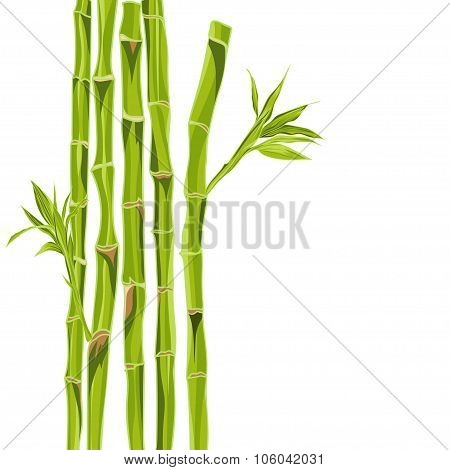 Hand-drawn green bamboo bacground with space for text