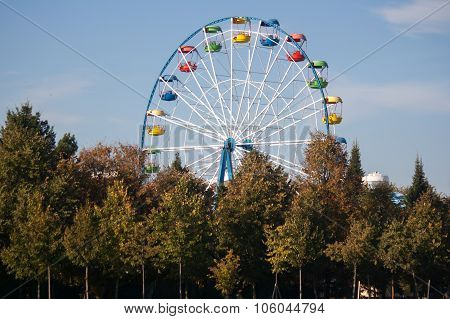 Carousel Ferris wheel
