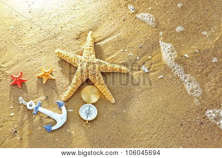 Beautiful sea composition on sand beach background