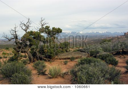 Paysage de l'Utah