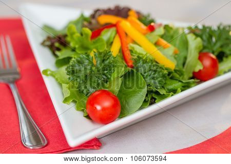 Fresh Garden Salad