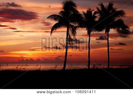 Tropical Sunset